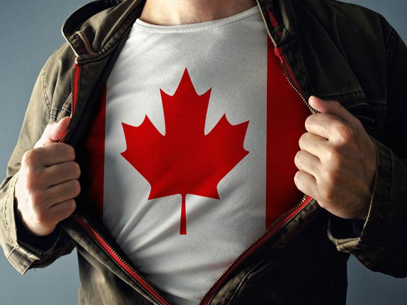 Высшее образование в Канаде начинается с онлайн курсов ILAC