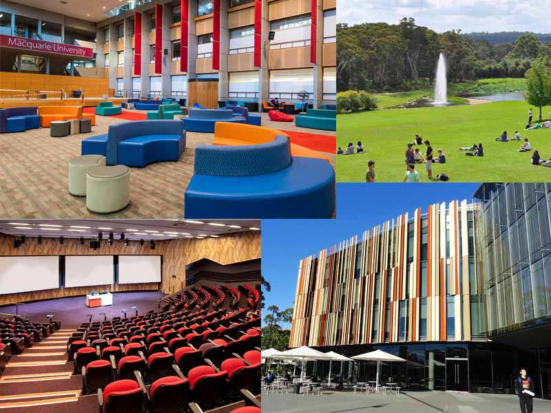 Стипендии 10.000 AUD на обучение в Macquarie University (Сидней)