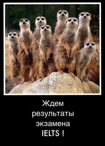 10985274_624542824346403_6591462401915076190_n
