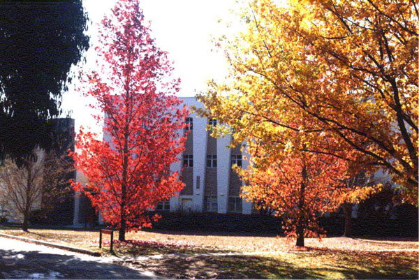 Australian Catholic University, Canberra